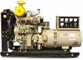 Ricardo Diesel Generator Set 4