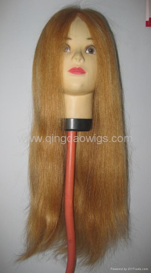 Human hair lace wigs