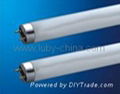 Reptile UVB fluorescent light (T8) 1