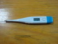 digital thermometer 1