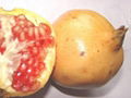 Pomegranate  2