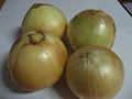 Yellow Onion in 2007 crop 1