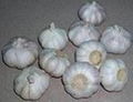 Fresh Normal White Garlic