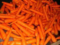 Fresh Carrot in 2007 crop 3