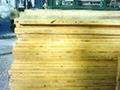 Pine Plywood 2