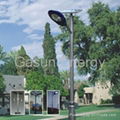 Solar Garden Lamp  1