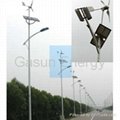 Hybrid Solar/Wind Streetlight  1