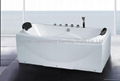 Massage Bathtub