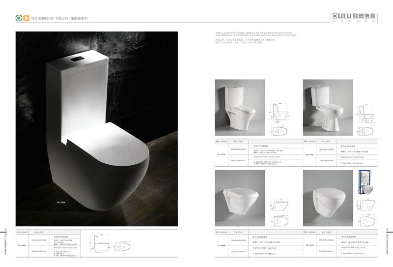 two-piece toilet&wall hung toilet