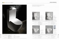 two-piece toilet&wall hung toilet