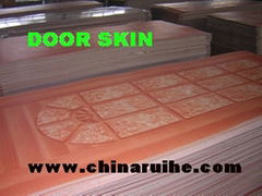 Doorskin Laminate 