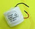 Ni-Mh Rechargeable Button Cell 250H3A2W 1