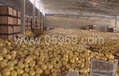 Pinghe County jiayouhao Agricultural product Co., Ltd.