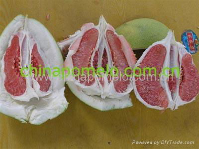 red honey pomelo 3