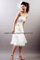 wedding dress 2