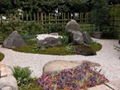 日式庭院景观 3
