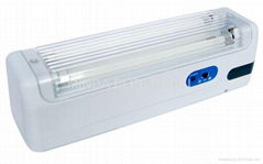 Emergency Light - 2x6w