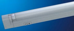 T5 Fluorescent light