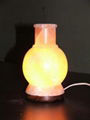 salt lamp(globe) 5