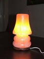 salt lamp(globe) 4