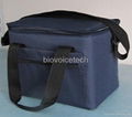 Cold Chain Bag（Prequalified）