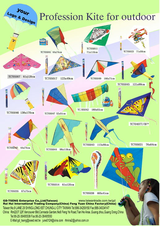 outdoor kite