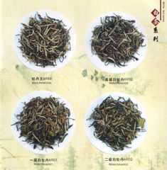 white tea