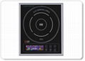 induction cooker 2