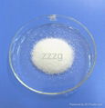 Super Absorbent Polymer 1