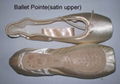 pointe shoes