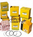 piston ring