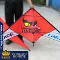 Stunt Kite (for Promotion)