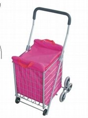shopping cart with cooling bag