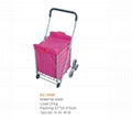 shopping cart with cooling bag 1