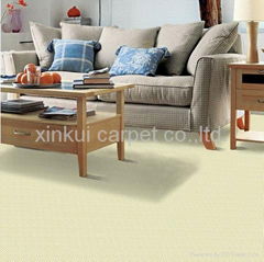 3M Scotchgard Carpet