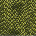 Snake-Skin Leather 1