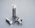 Stainless Steel Bolts&Nuts 4