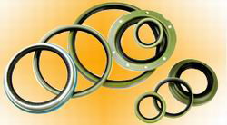 oil seal