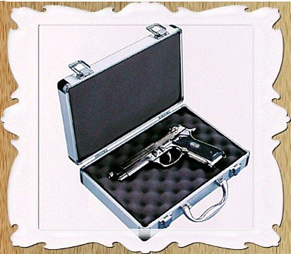 gun case 4