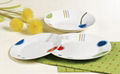 20pcs dinner set 5