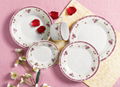 20pcs dinner set 1