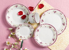 20pcs dinner set