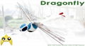 Dragonfly radio-controlled (RC)airplane 1