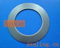 reinforced graphite gasket