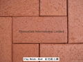 Clay Brick