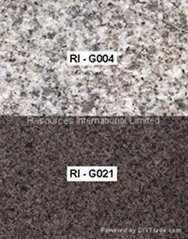 Natural Granite Paver