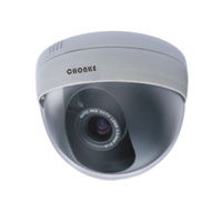 IP DOME CAMERA(CHK-D100)