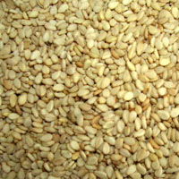 sell sesame seeds