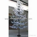 LED Maple tree light 5