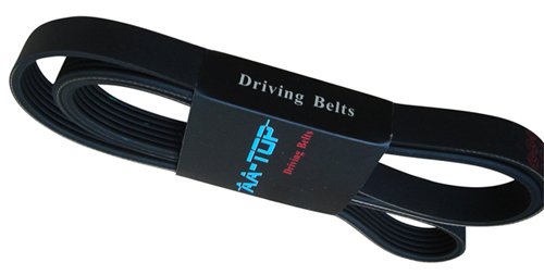 auto v-ribbed belt  2